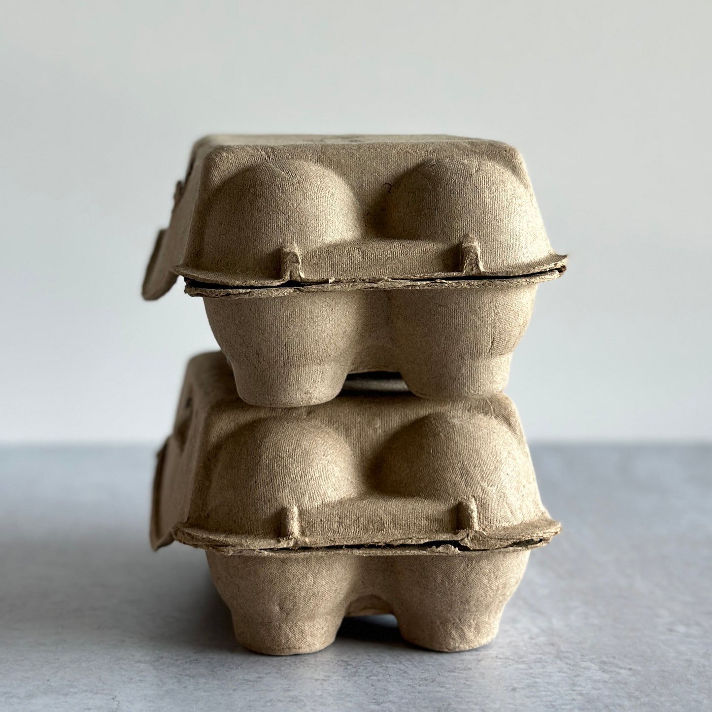 Custom Printed 6-Egg Cartons