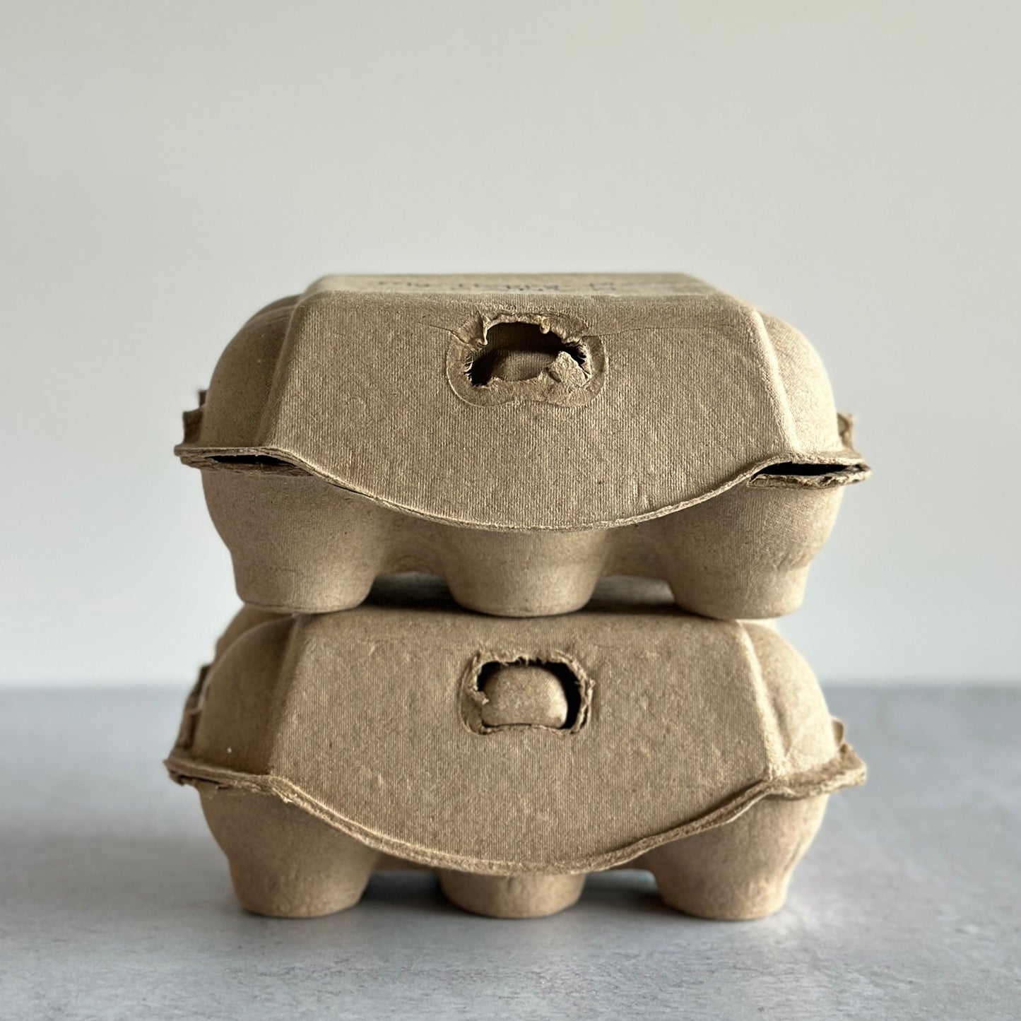 Custom Printed 6-Egg Cartons