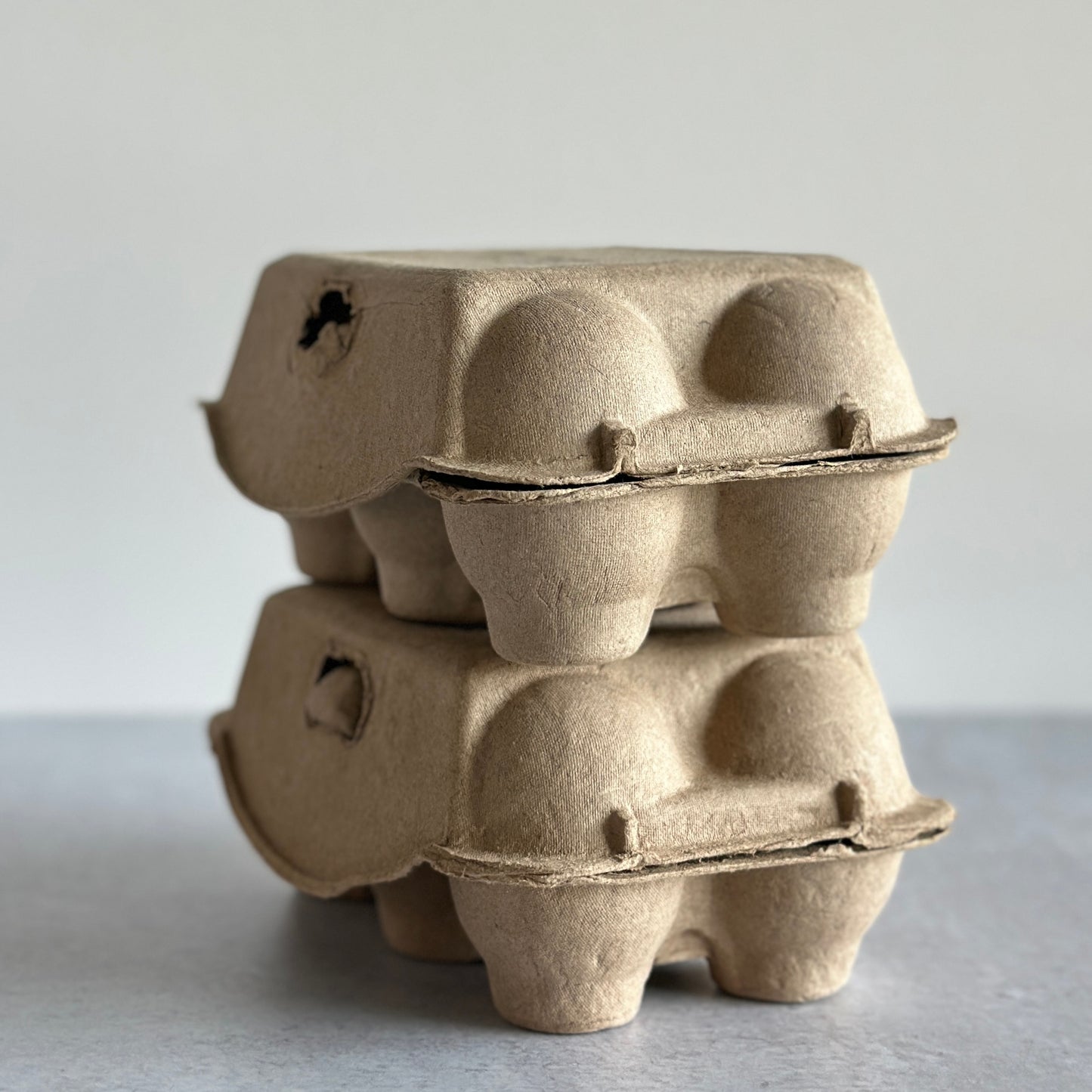 Custom Printed 6-Egg Cartons