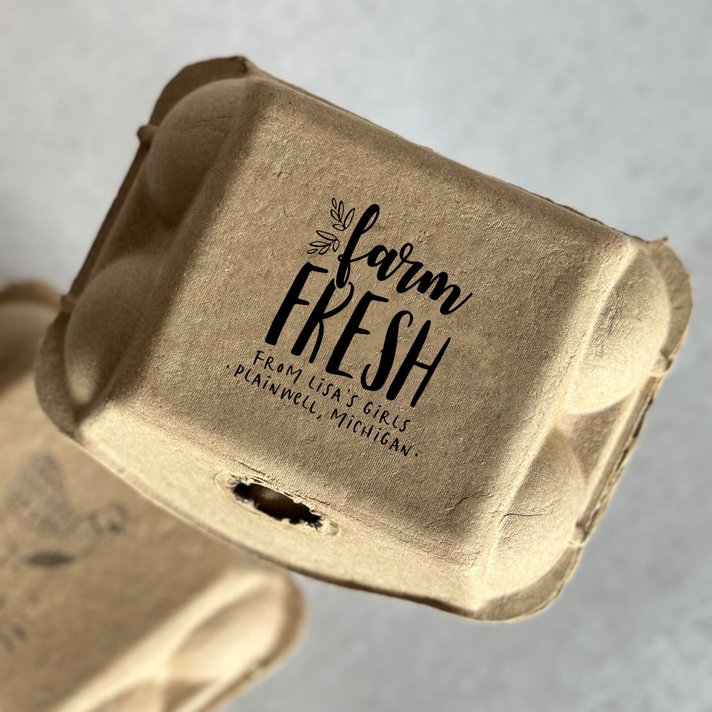Custom Printed 6-Egg Cartons